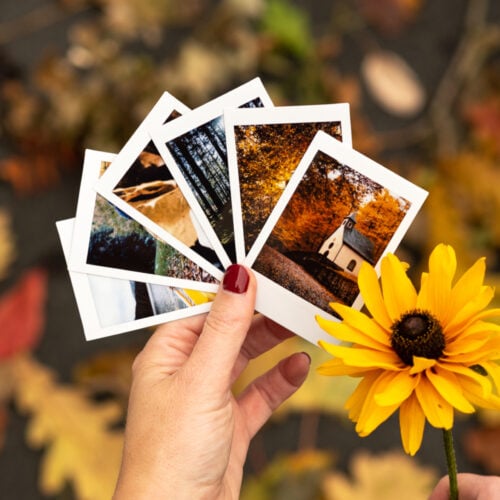 instax mini film ขอบขาว
