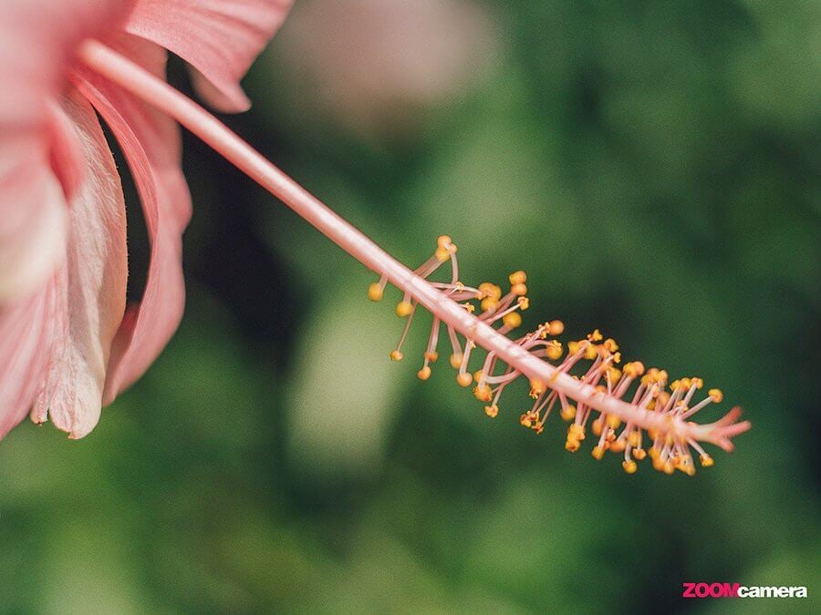 Fujian 25mm F1.8 , Fujian 35mm F1.6 และ Fujian 50mm F1.8