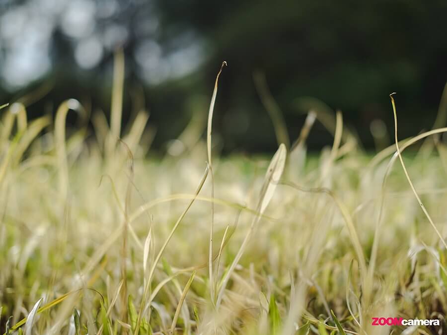 Fujian 25mm F1.8 , Fujian 35mm F1.6 และ Fujian 50mm F1.8