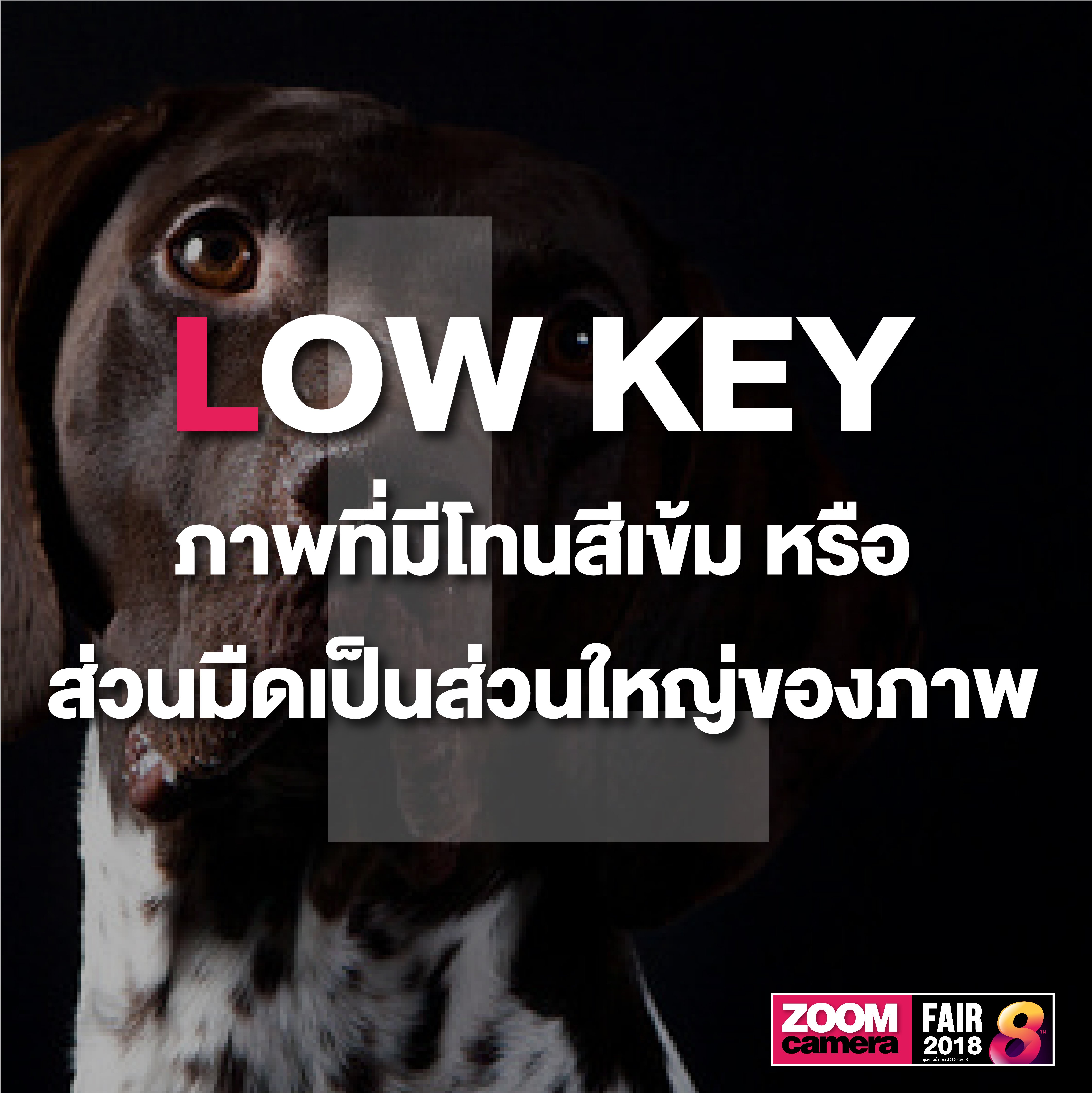 รวม 26 คำศัพท์ช่างภาพน่ารู้ Photography A to Z 14 รวม 26 คำศัพท์ช่างภาพน่ารู้ Photography A to Z
