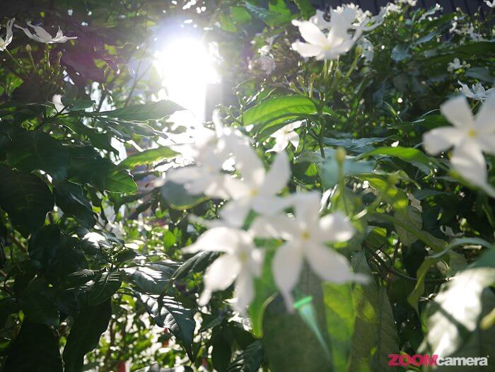Panasonic GF7 Test 1