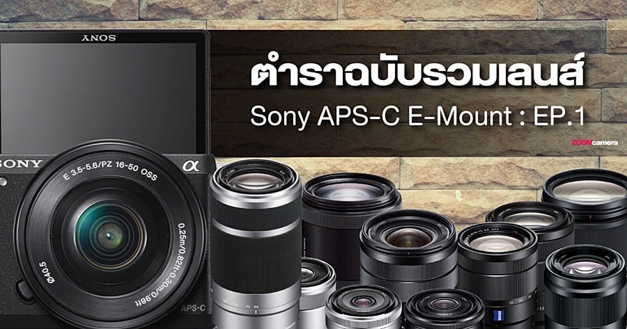 Tips : ตำรารวมเลนส์ Sony APS-C E-Mount ฉบับมือใหม่หัดถ่าย EP. 1