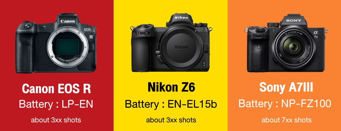 ศึก ZAR : เปรียบเทียบ EOS R vs Nikon Z6 vs Sony A7III
