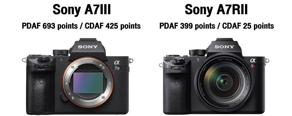 เปรียบเทียบ Sony A7III VS Sony A7RII น้องเล็ก ปะทะ พี่ใหญ่