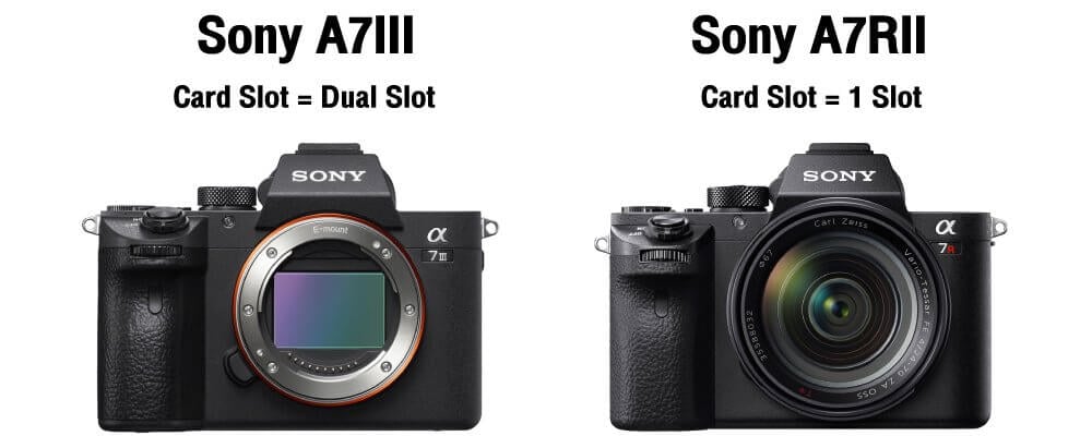 เปรียบเทียบ Sony A7III VS Sony A7RII น้องเล็ก ปะทะ พี่ใหญ่