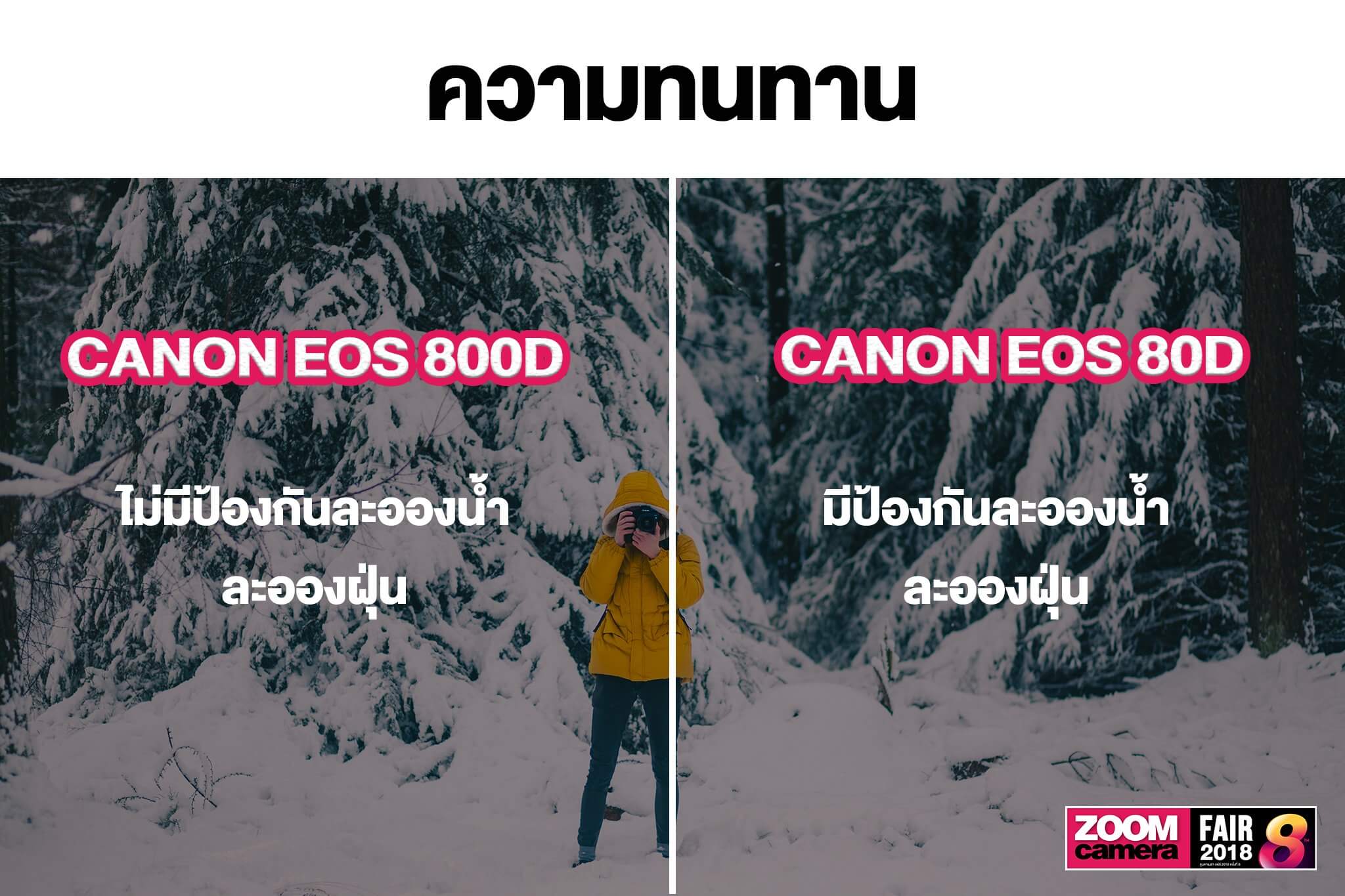 เปรียบเทียบ Canon EOS 800D VS Canon EOS 80D ควรเลือกซื้อรุ่นไหนดี 