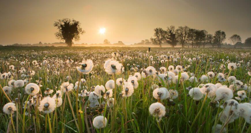 Tip 5 Reason Take Beauty Nature Photography Content 0