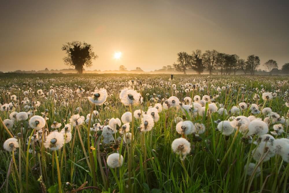 Tips : 5 แนวทาง การถ่ายภาพธรรมชาติให้สวยสมจริง