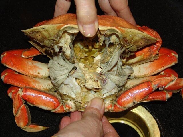 Tip Trick Food Photography by zoomcamera 141