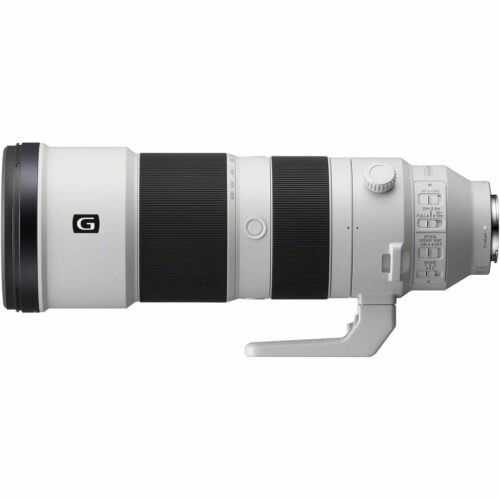 Sony FE 600mm f4 GM OSS Lens