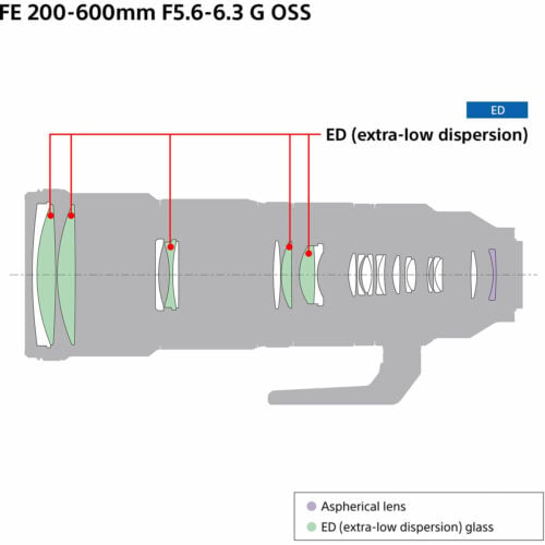 Sony FE 600mm f4 GM OSS Lens