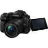 Panasonic Lumix DC-G95 Mirrorless Digital Camera