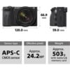 Sony Alpha a6600 Mirrorless Digital Camera with 18-135mm Lens