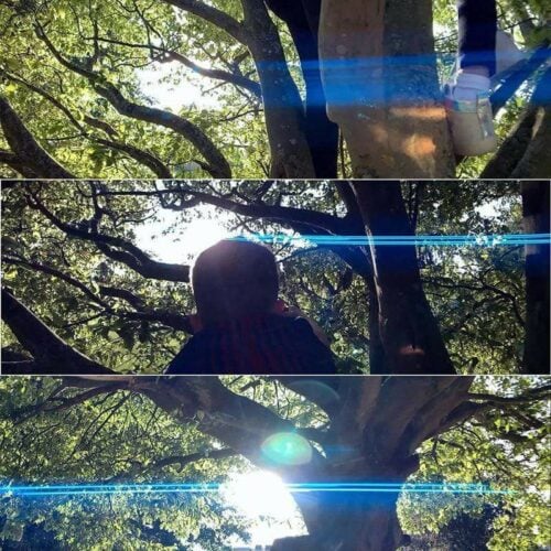 [Clearance] Ulanzi Mobile Phone : 1.33X Anamorphic Lens 17mm - Image 9