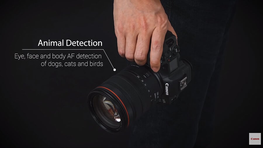 Canon EOS R5 Animal detection