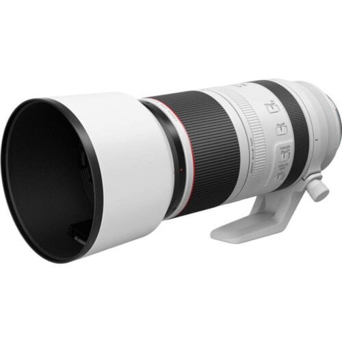 Canon RF 100-500mm f/4.5-7.1L IS USM Lens