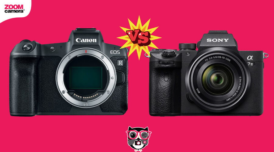 เปรียบเทียบ Canon EOS R vs Sony A7 III