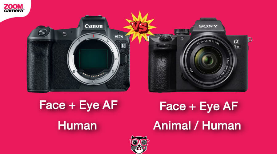 เปรียบเทียบ Canon EOS R vs Sony A7 III ระบบ Eye AF