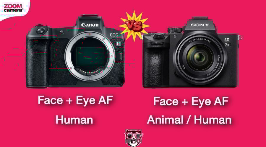 เปรียบเทียบ EOS R vs Sony A7 III เก่าแต่เก๋า 12 เปรียบเทียบ Canon EOS R vs Sony A7 III ระบบ Eye AF