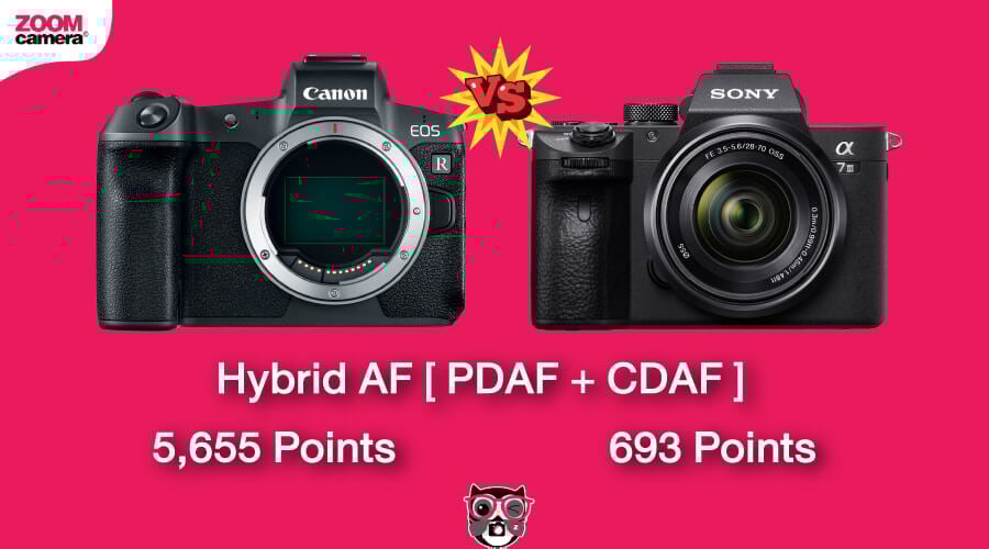 เปรียบเทียบ EOS R vs Sony A7 III เก่าแต่เก๋า 11 เปรียบเทียบ Canon EOS R vs Sony A7 III ระบบ Focus