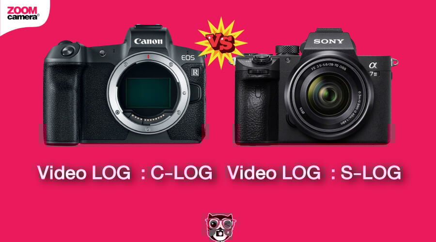 เปรียบเทียบ EOS R vs Sony A7 III เก่าแต่เก๋า 15 เปรียบเทียบ Canon EOS R vs Sony A7 III Video LOG