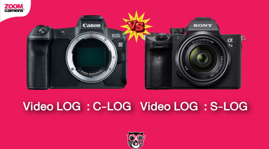 เปรียบเทียบ Canon EOS R vs Sony A7 III Video LOG