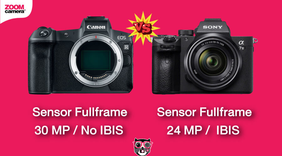 เปรียบเทียบ Canon EOS R vs Sony A7 III ขนาด Sensor