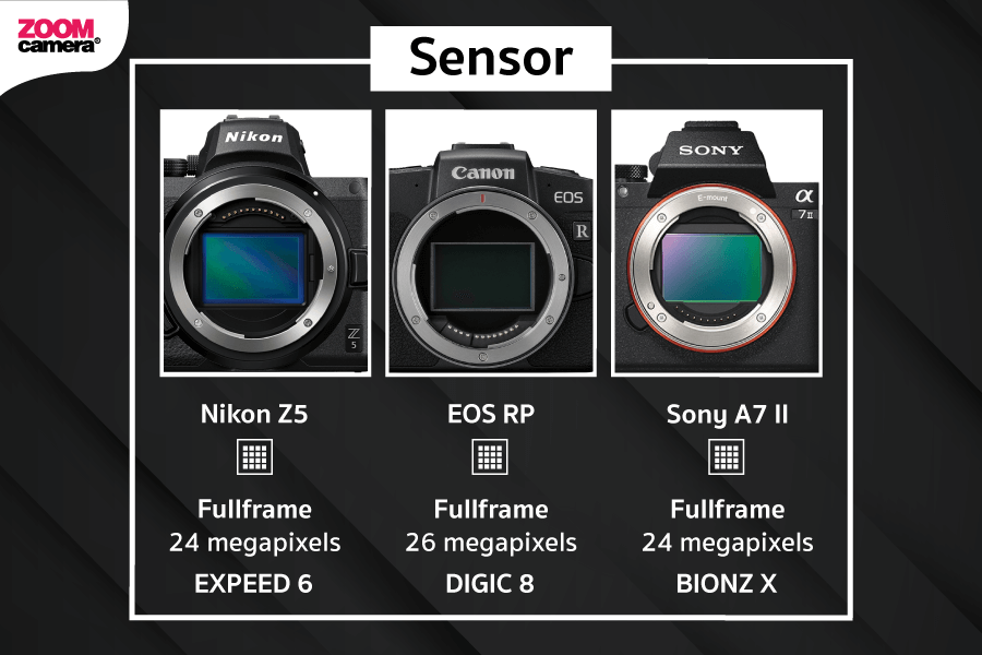 เปรียบเทียบ Nikon Z5 ขนาด Sensor
