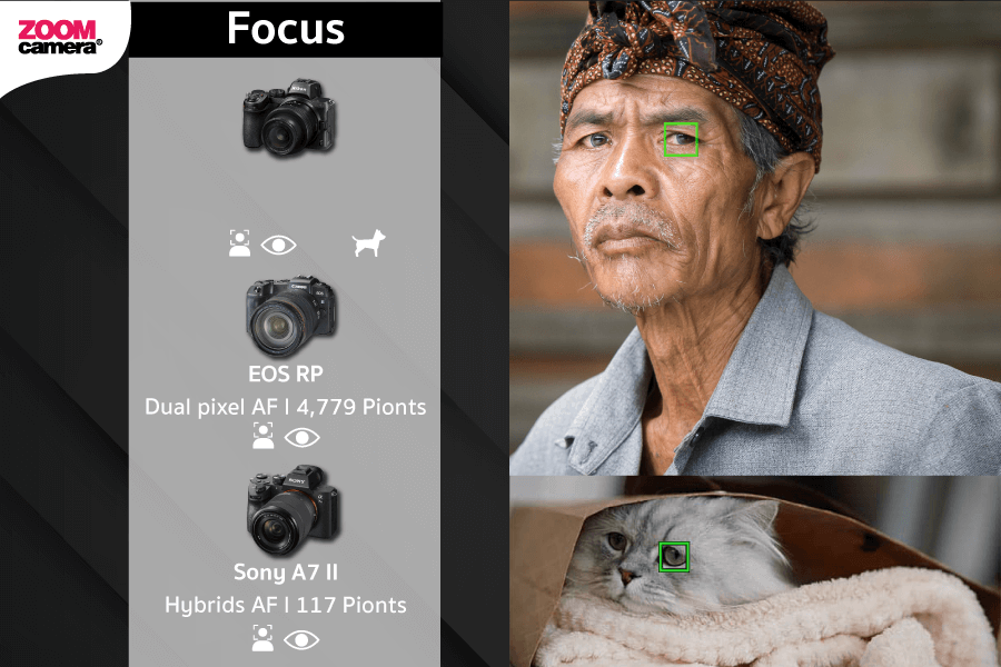 เปรียบเทียบ Nikon Z5 ระบบ Focus