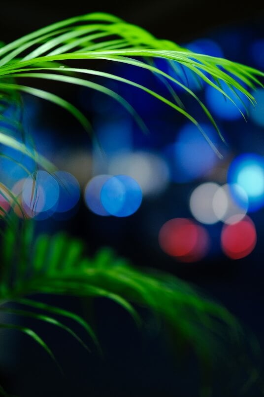 FUJIFILM XF 50mm f1.0 R WR Lens 26