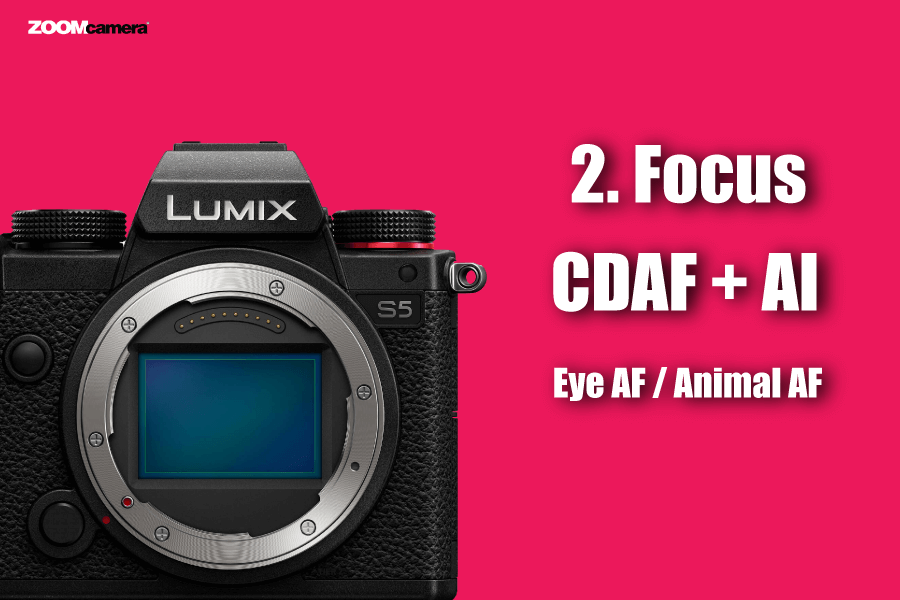สรุปฟีเจอร์ Panasonic Lumix S5 น่าสนใจ ใช้งานได้จริง 3 ฟีเจอร์ Panasonic Lumix S5 ระบบ Focus