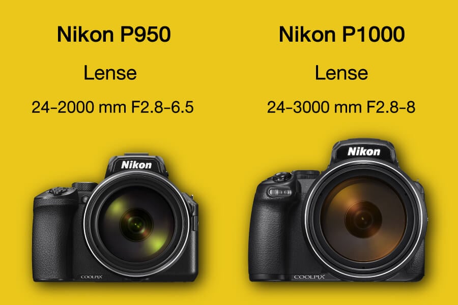 Nikon P950 vs Nikon P1000