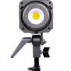 Amaran 100x Bi-Color LED Light