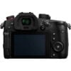 Panasonic Lumix GH5 II Mirrorless Camera with 12-60mm f2.8-4 Lens