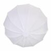 NiceFoto Globe Softbox