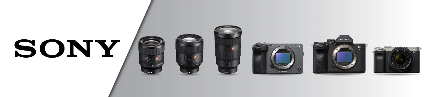 【超美品】【最安値】SONY E50F1.8OSS(S) sel50f18