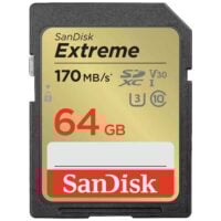 Sandisk 2024 ZoomCamera