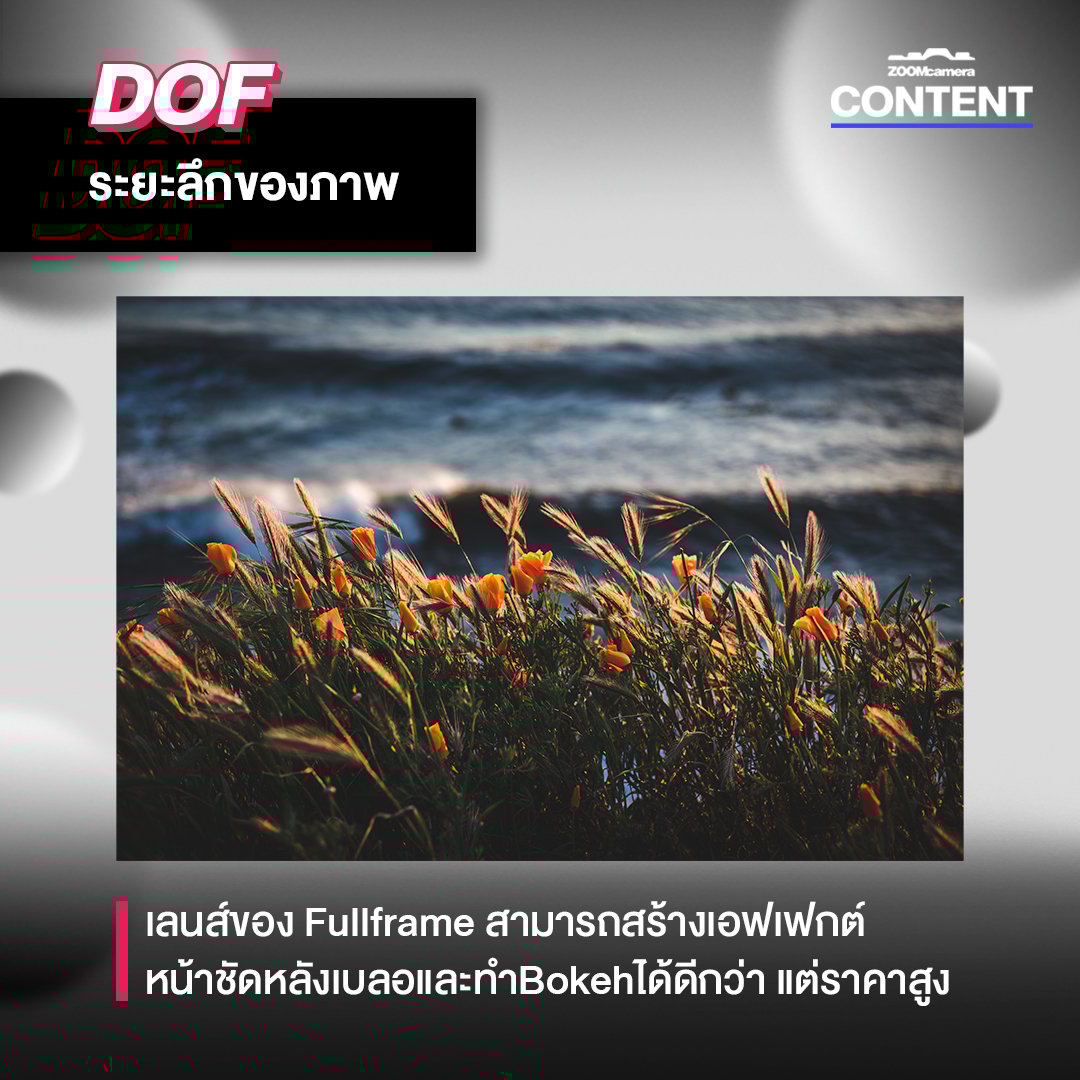 เลือกอะไรดี ? Fullframe vs APS-C 4 DOF 2A