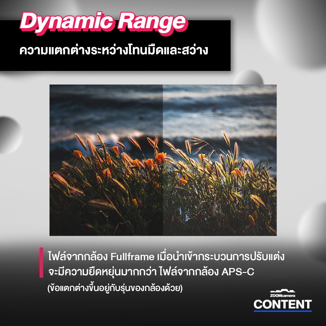 เลือกอะไรดี ? Fullframe vs APS-C 5 Dynamic range 2A