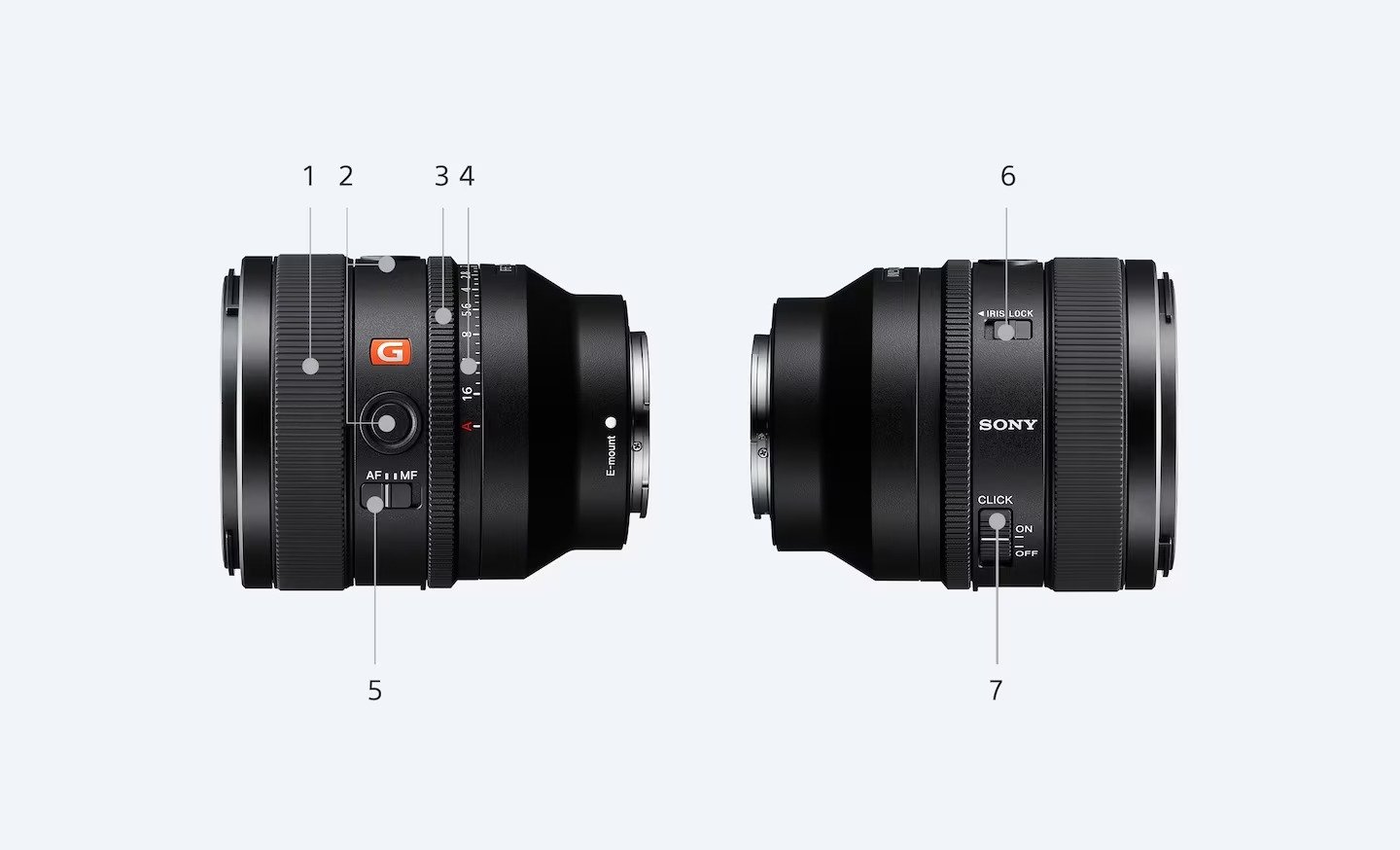 Sony FE 50mm f1.4 GM Lens Detail