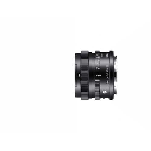SIGMA 17mm F_4 DG DN