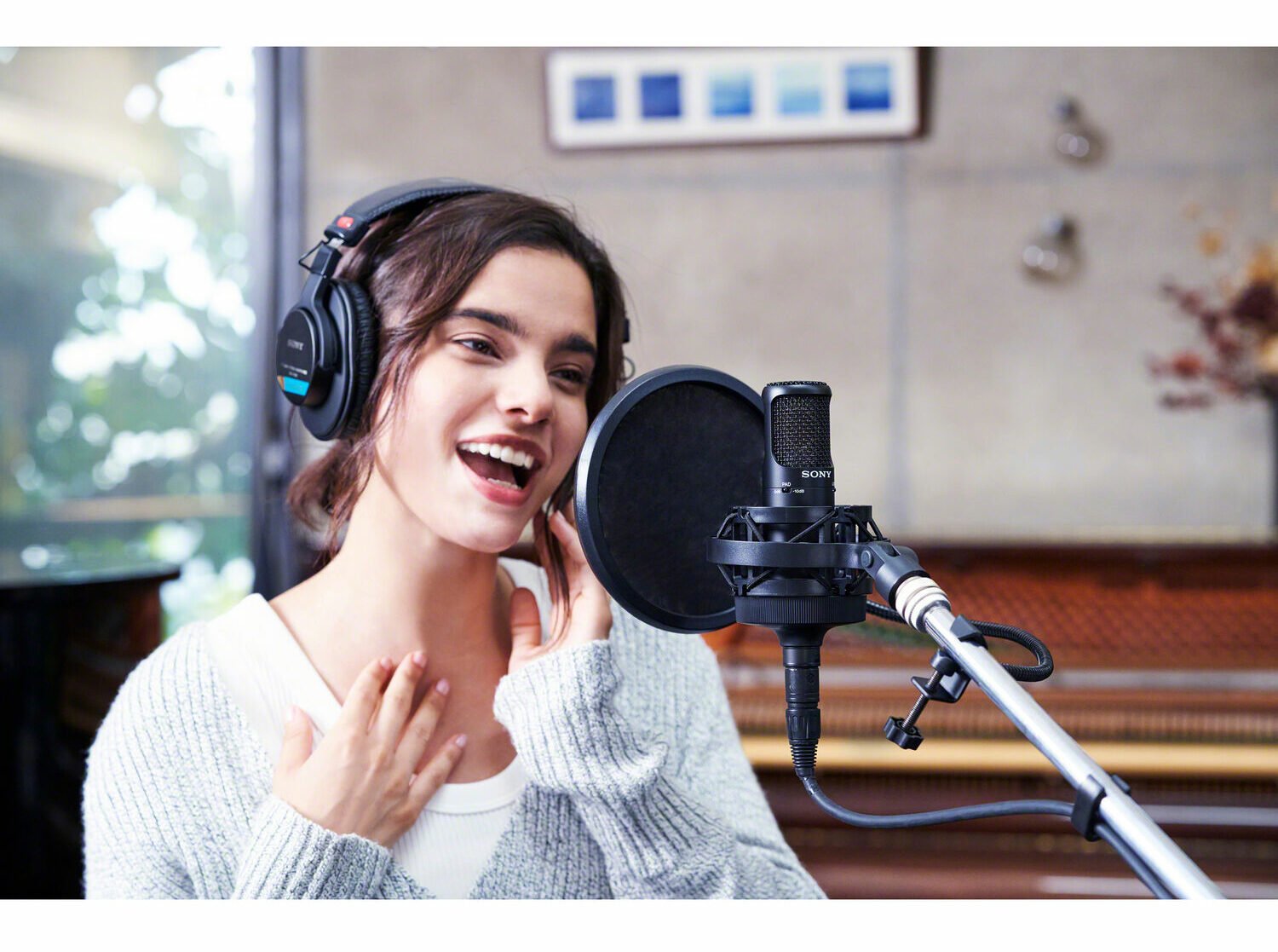 Sony C-80 Unidirectional Studio Condenser Microphone