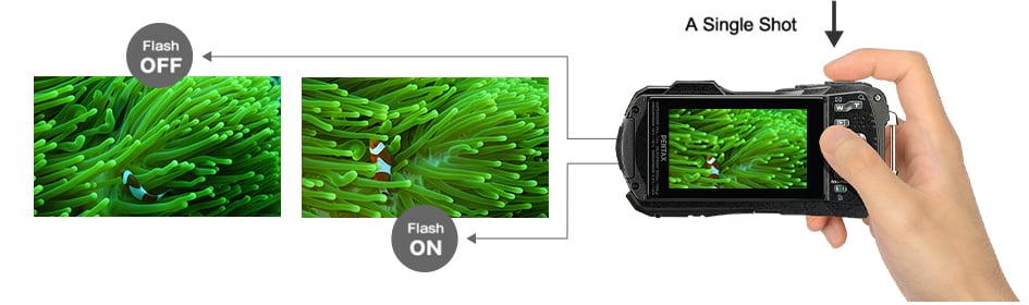Ricoh Pentax WG-90 Waterproof Digital Camera กล้องกันน้ำ (ประกันศูนย์) 33 Ricoh Pentax WG-90 Digital Camera