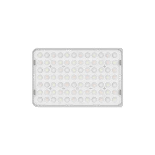 amaran Ace 25c