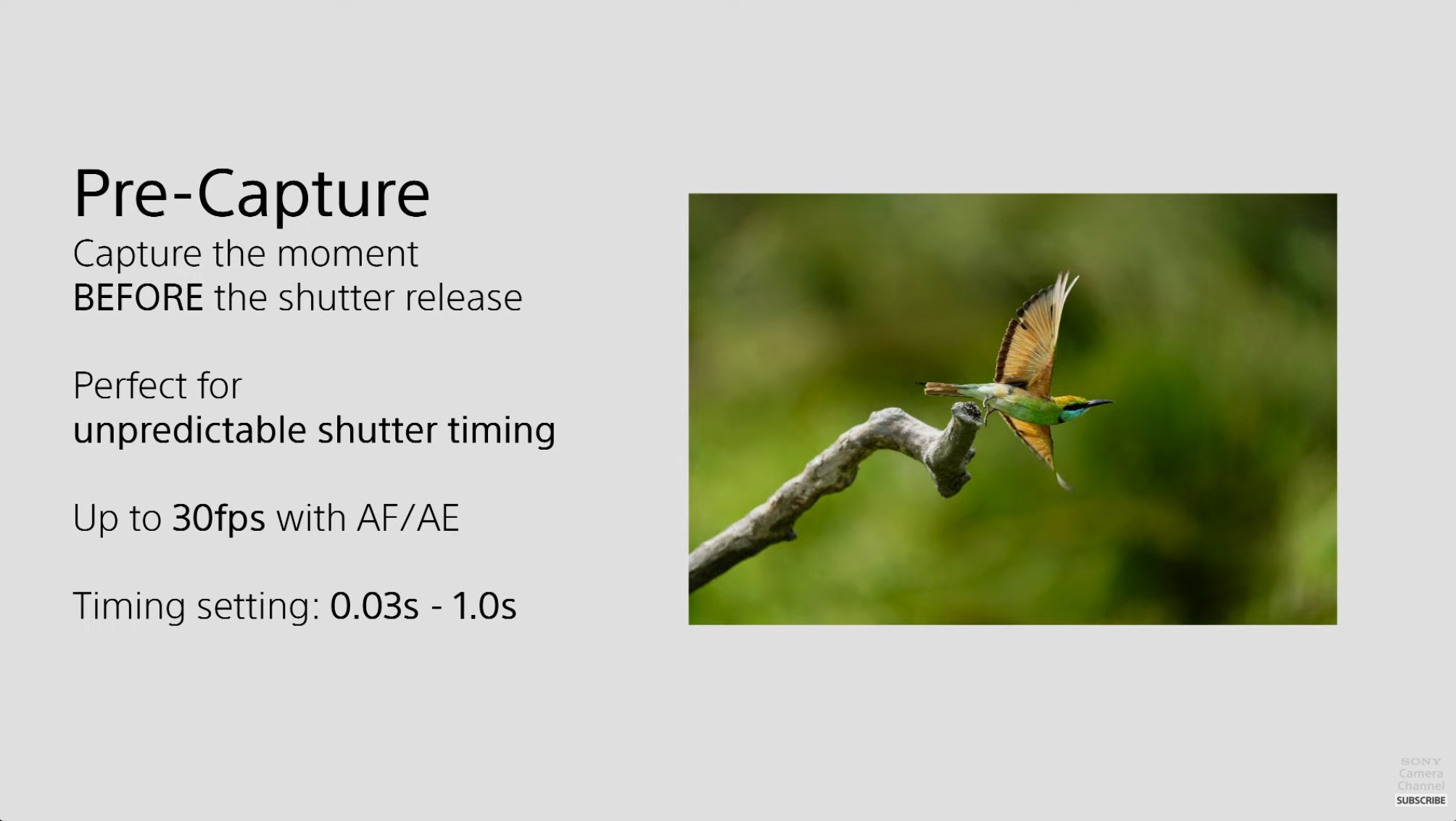 เปิดตัว Sony A1 II กล้องเรือธงสายสปีด 50 ล้านพิกเซล โฟกัสเร็ว 30fps ทำงานร่วมกับ AI แม่นยำมากขึ้น 8 Sony A1 II 1