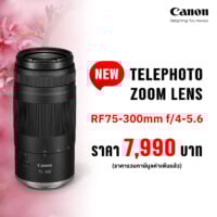 Canon RF 75-300mm f4-5.6 Lens