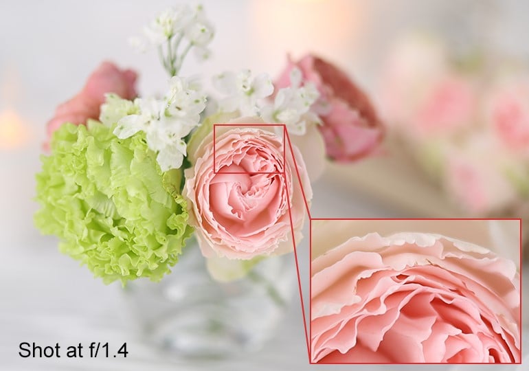Canon RF 85mm f/1.4 VCM Lens (ประกันศูนย์) 26 Canon RF 85mm f/1.4 VCM Lens