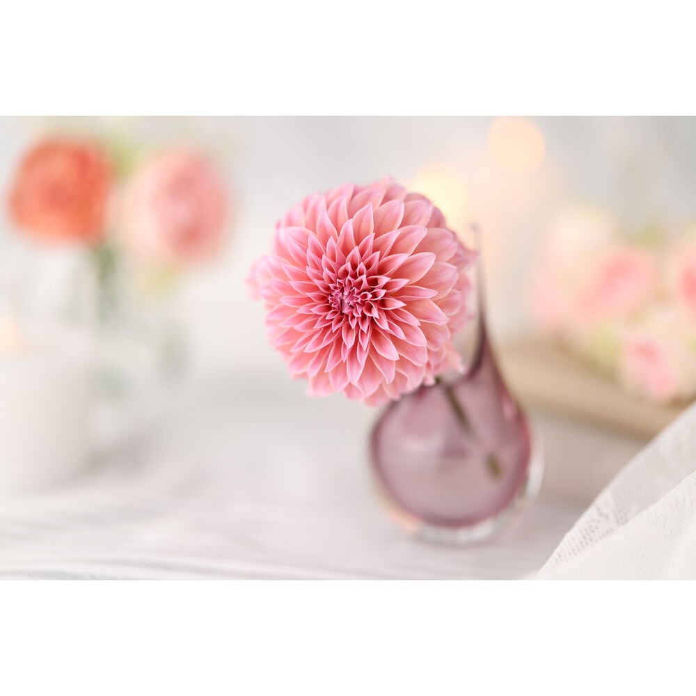 Canon RF 85mm f/1.4 VCM Lens (ประกันศูนย์) 20 Canon RF 85mm f/1.4 VCM Lens