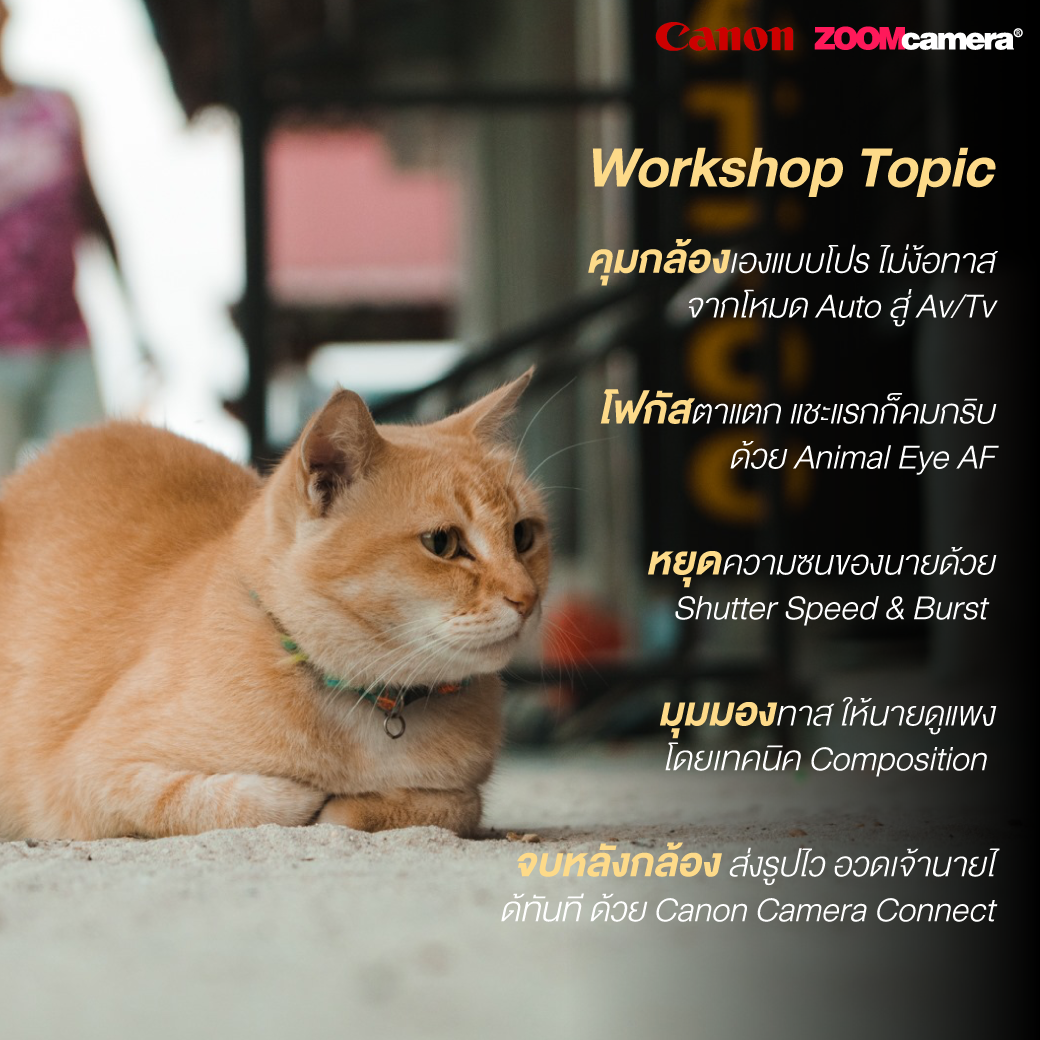 2025.11 Workshop Canon X พี่เบียร์ ถ่ายแมว 03 1 1