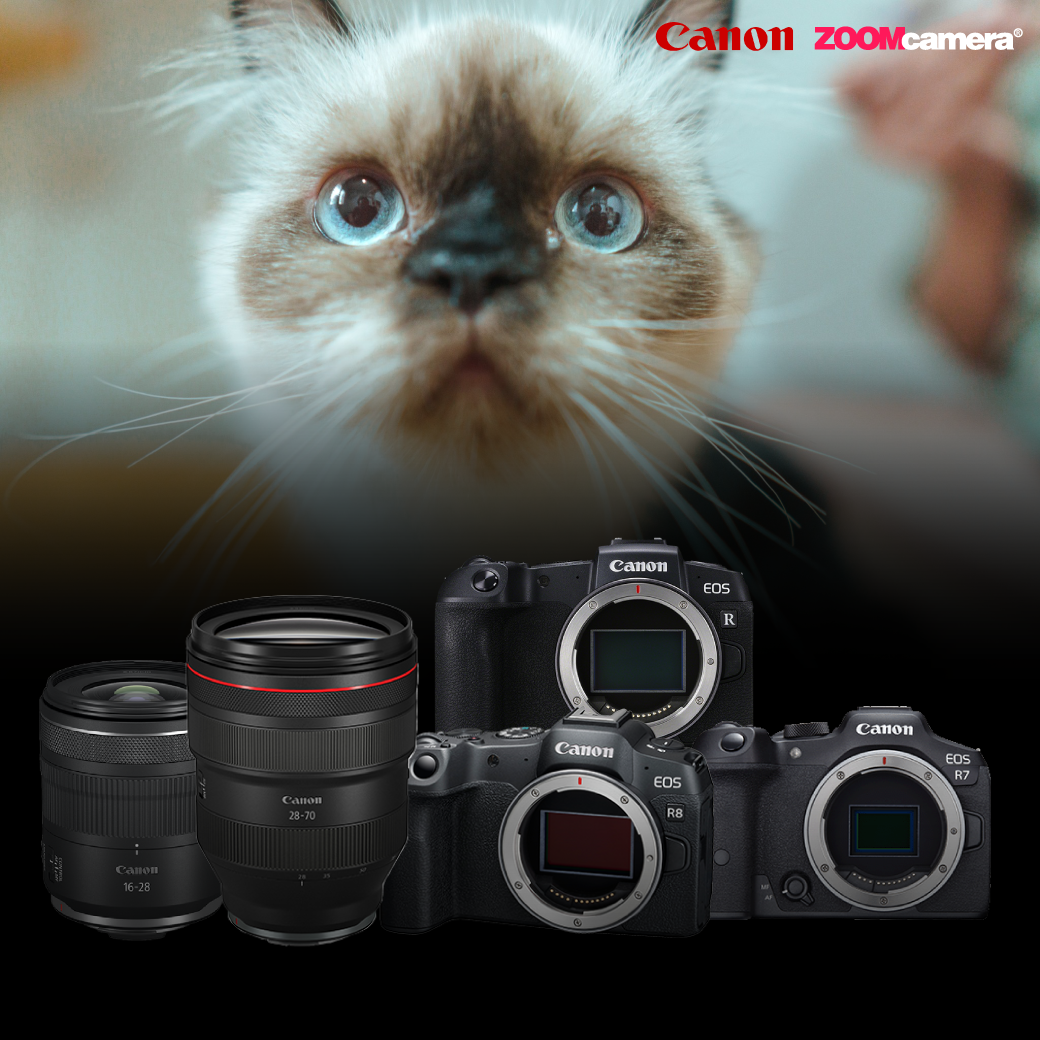 2025.11 Workshop Canon X พี่เบียร์ ถ่ายแมว 06 1